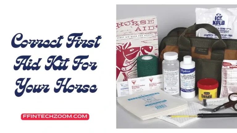 Correct First Aid Kit For Your Horse