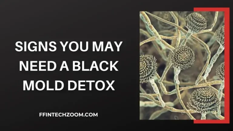 Signs You May Need a Black Mold Detox